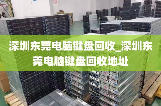 深圳东莞电脑键盘回收_深圳东莞电脑键盘回收地址